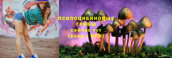альфа пвп Каменск-Шахтинский