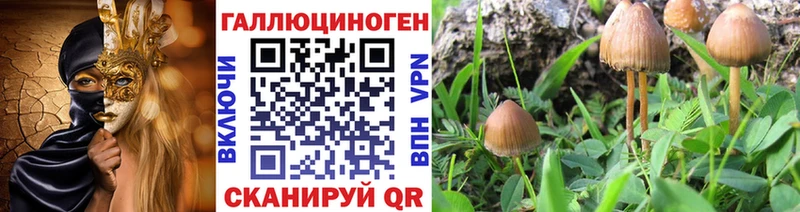 Купить  Зарайск  Галлюциногенные грибы Magic Shrooms 